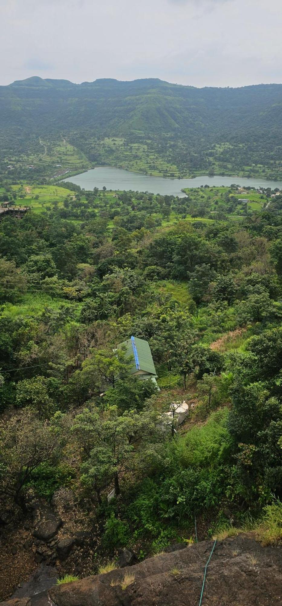 Forest Den Pune Exterior foto
